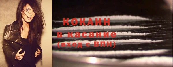PSILOCYBIN Елизово