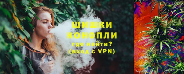 PSILOCYBIN Елизово
