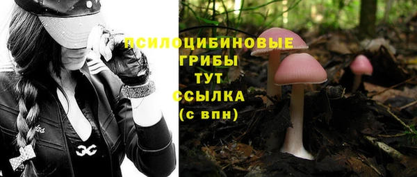PSILOCYBIN Елизово