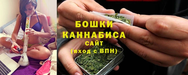 PSILOCYBIN Елизово